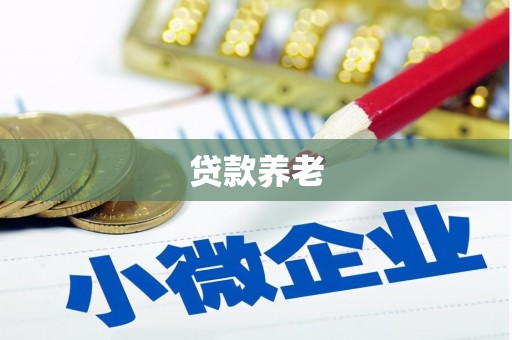 蓬江贷款养老