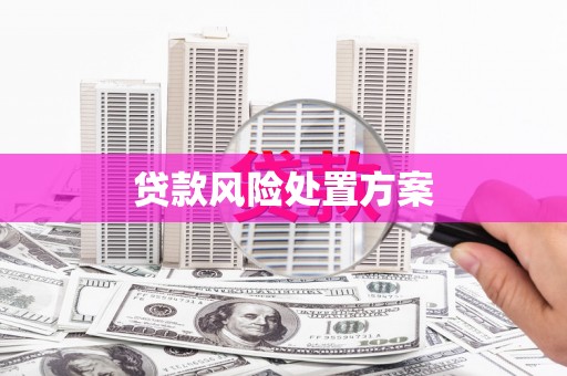 蓬江贷款风险处置方案