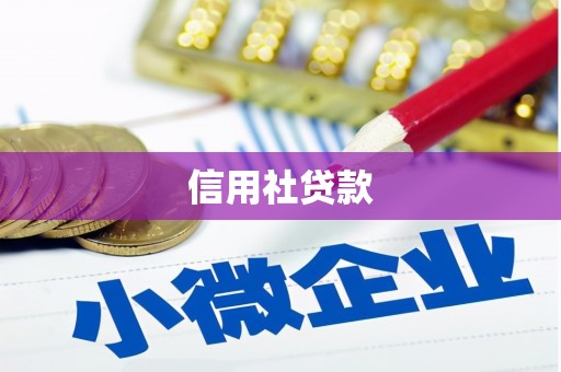 蓬江信用社贷款