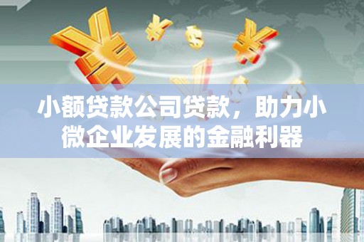 蓬江小额贷款公司贷款，助力小微企业发展的金融利器
