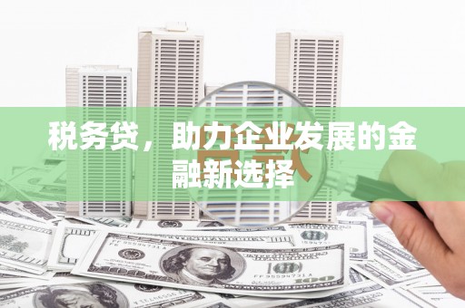 蓬江税务贷，助力企业发展的金融新选择