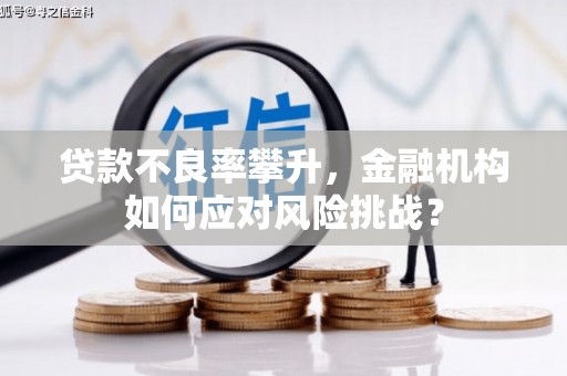 蓬江贷款不良率攀升，金融机构如何应对风险挑战？
