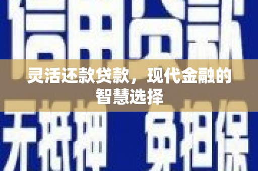蓬江灵活还款贷款，现代金融的智慧选择
