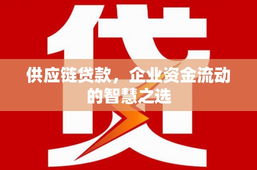 蓬江供应链贷款，企业资金流动的智慧之选