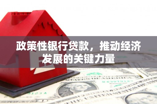 蓬江政策性银行贷款，推动经济发展的关键力量