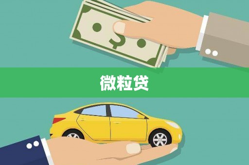 蓬江微粒贷