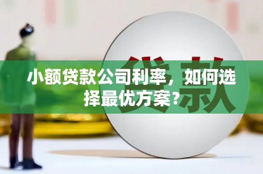 蓬江小额贷款公司利率，如何选择最优方案？
