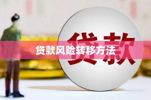 蓬江贷款风险转移方法