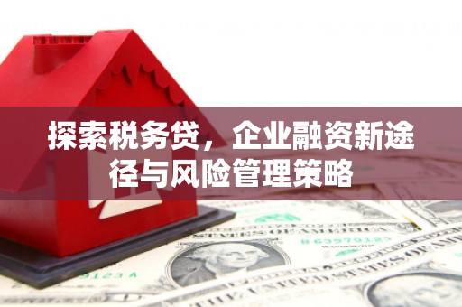 蓬江探索税务贷，企业融资新途径与风险管理策略