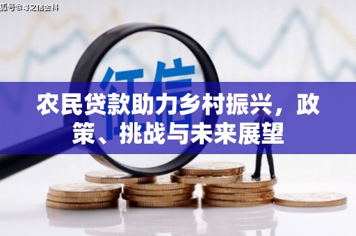 蓬江农民贷款助力乡村振兴，政策、挑战与未来展望