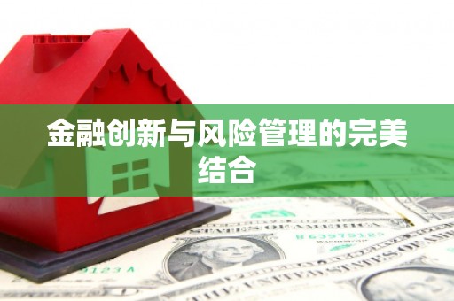 蓬江金融创新与风险管理的完美结合