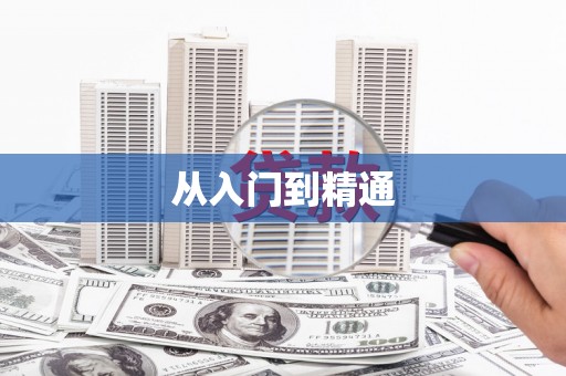 蓬江从入门到精通