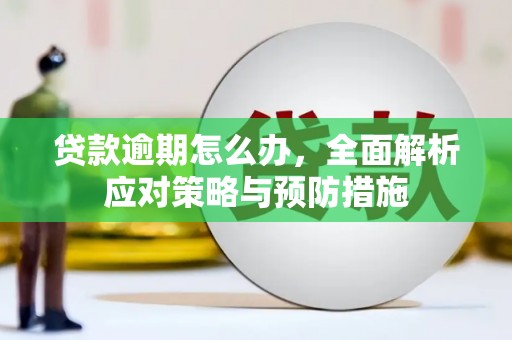蓬江贷款逾期怎么办，全面解析应对策略与预防措施