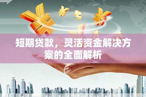 蓬江短期贷款，灵活资金解决方案的全面解析