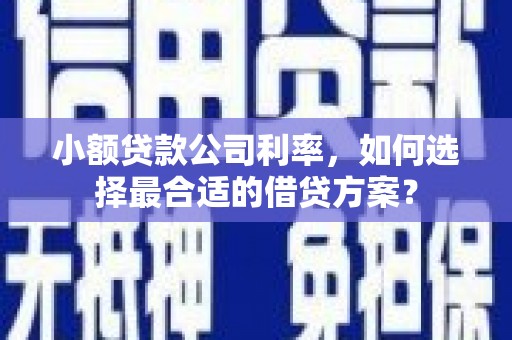 蓬江小额贷款公司利率，如何选择最合适的借贷方案？