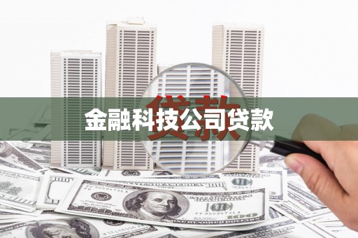 蓬江金融科技公司贷款