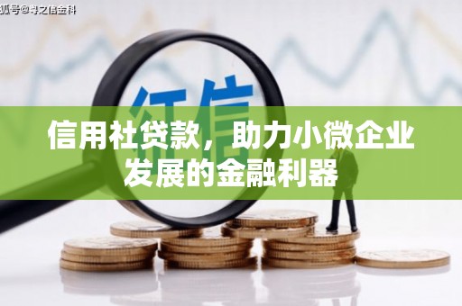 蓬江信用社贷款，助力小微企业发展的金融利器