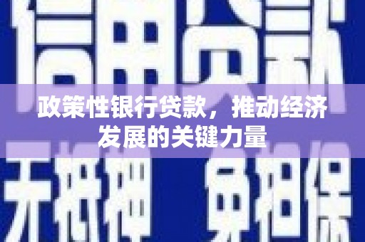 蓬江政策性银行贷款，推动经济发展的关键力量