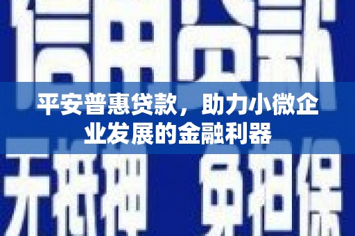 蓬江平安普惠贷款，助力小微企业发展的金融利器