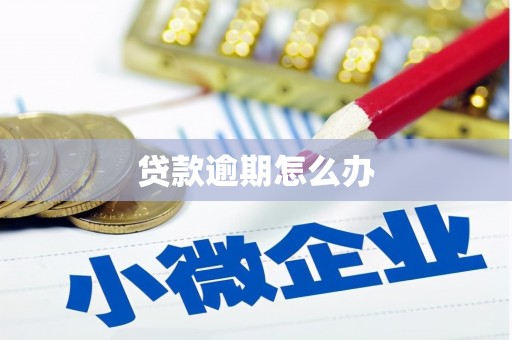 蓬江贷款逾期怎么办