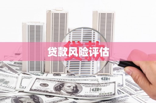 蓬江贷款风险评估