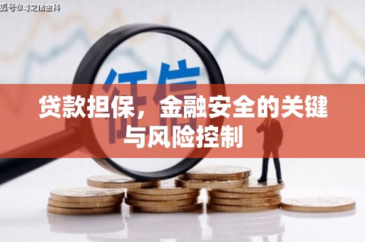 蓬江贷款担保，金融安全的关键与风险控制