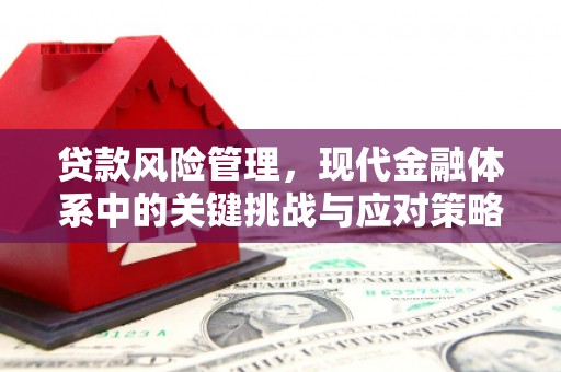 蓬江贷款风险管理，现代金融体系中的关键挑战与应对策略