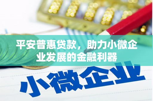 蓬江平安普惠贷款，助力小微企业发展的金融利器