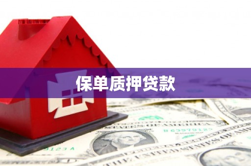 蓬江保单质押贷款