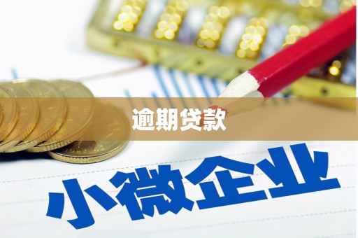 蓬江逾期贷款