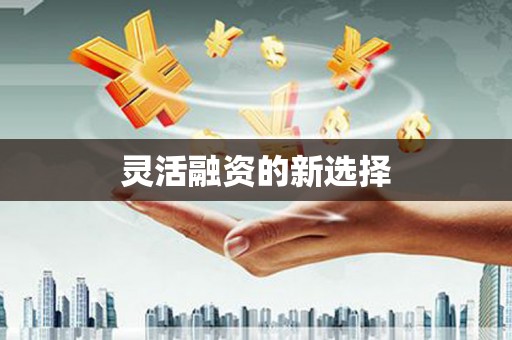 蓬江灵活融资的新选择