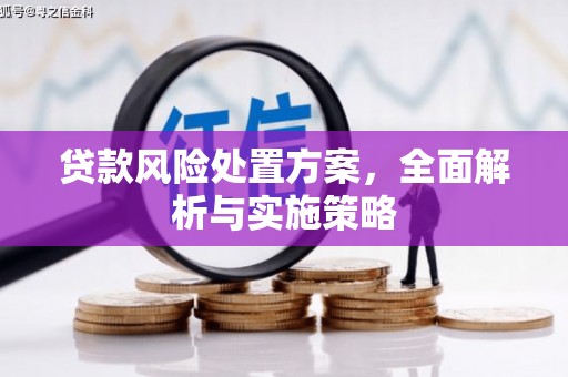 蓬江贷款风险处置方案，全面解析与实施策略