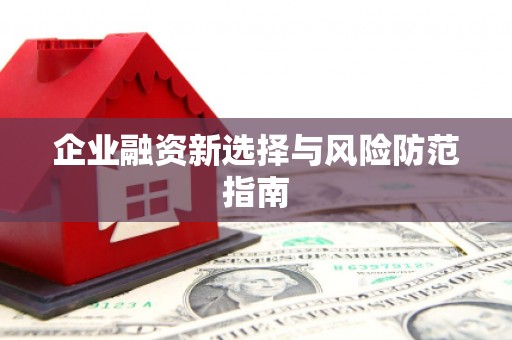蓬江企业融资新选择与风险防范指南