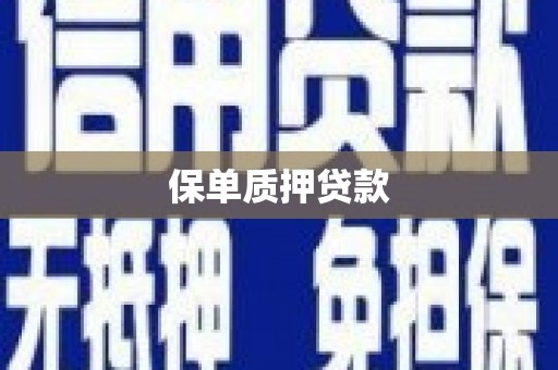蓬江保单质押贷款