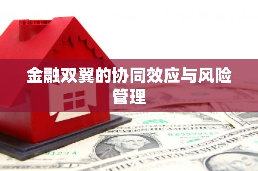 蓬江金融双翼的协同效应与风险管理