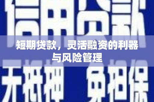 蓬江短期贷款，灵活融资的利器与风险管理