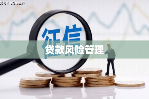 蓬江贷款风险管理