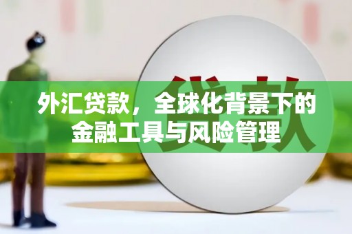 蓬江外汇贷款，全球化背景下的金融工具与风险管理