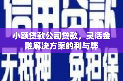 蓬江小额贷款公司贷款，灵活金融解决方案的利与弊