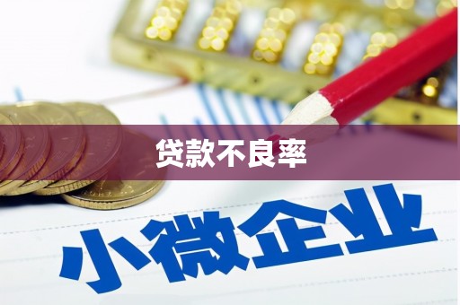 蓬江贷款不良率